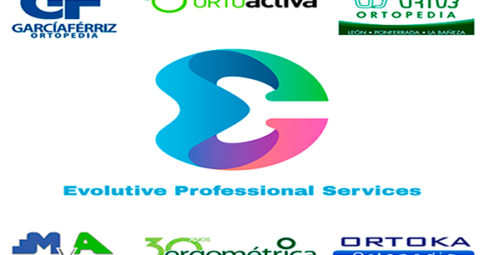 Evolutive Professional Services